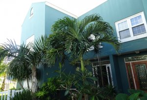 Featured Property Image