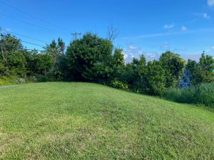 Featured Property Image