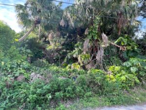 Featured Property Image